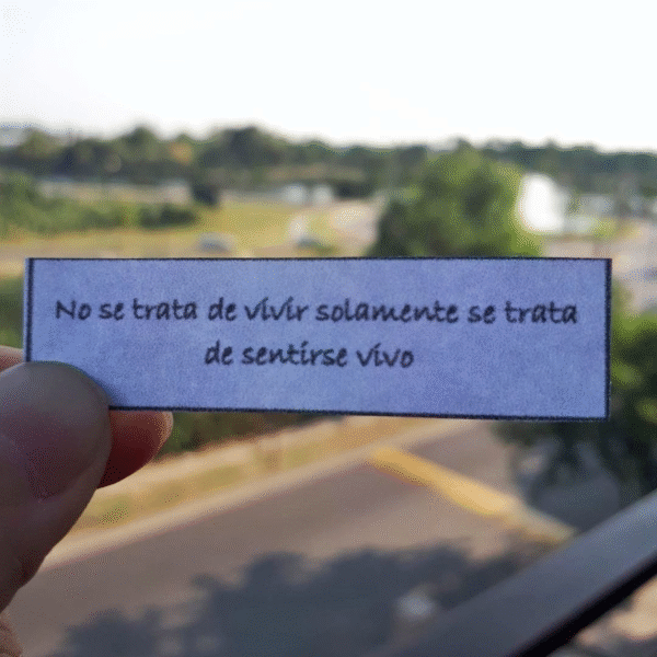 Un Año de Inspiración - Imagen 2