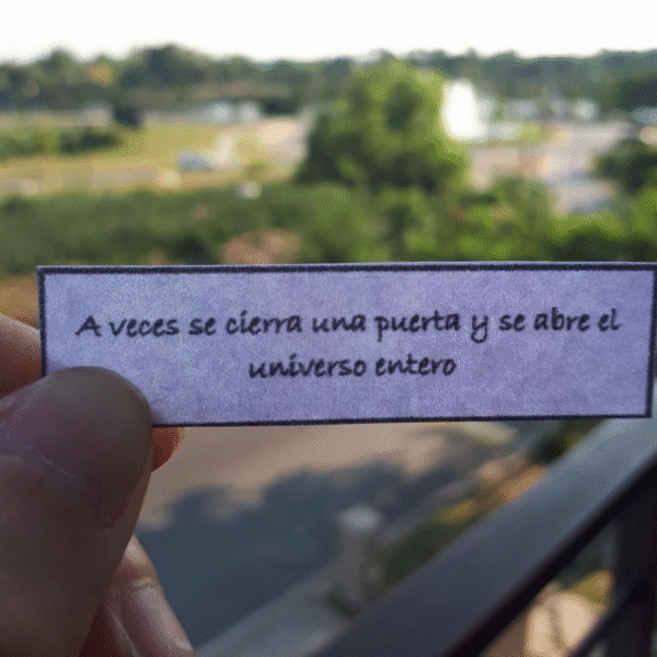 Un Año de Inspiración - Imagen 7